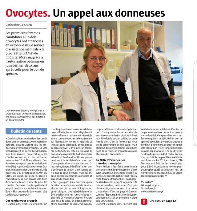 Article ovocytes