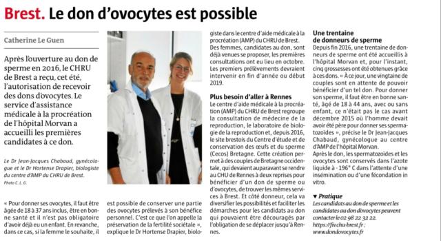 Article ovocytes